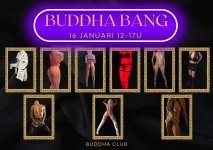 Buddha Bang 16 Jan 25.jpeg